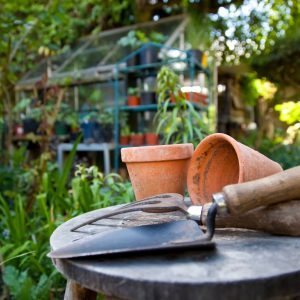 RHS Level 2 Certificate in Practical Horticulture